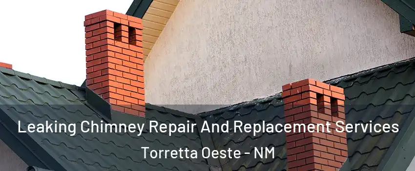 Leaking Chimney Repair And Replacement Services Torretta Oeste - NM