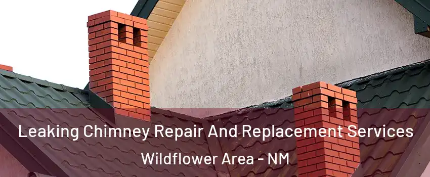 Leaking Chimney Repair And Replacement Services Wildflower Area - NM