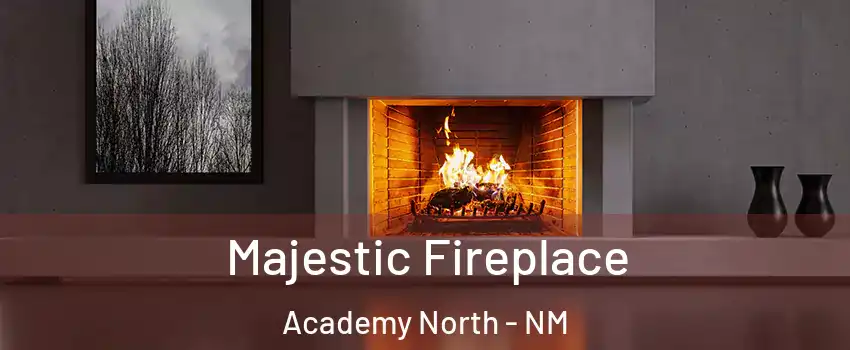 Majestic Fireplace Academy North - NM