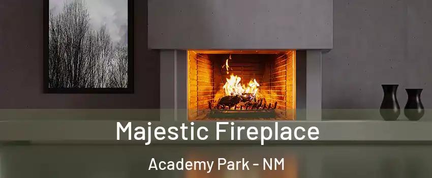 Majestic Fireplace Academy Park - NM