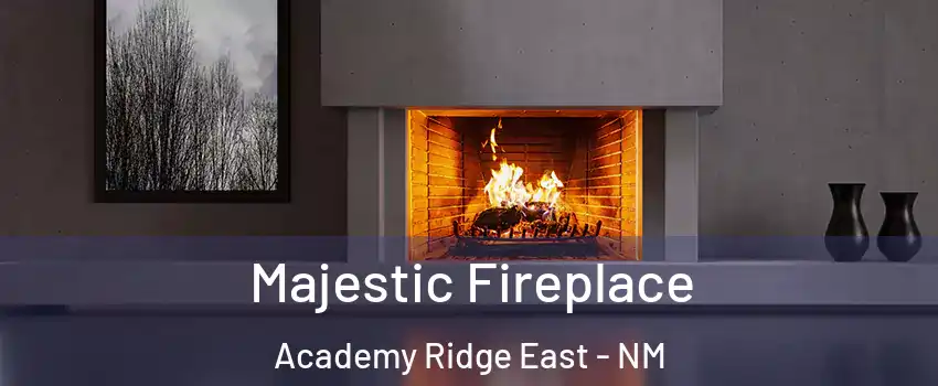 Majestic Fireplace Academy Ridge East - NM
