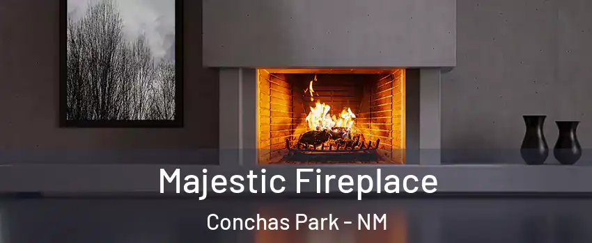 Majestic Fireplace Conchas Park - NM