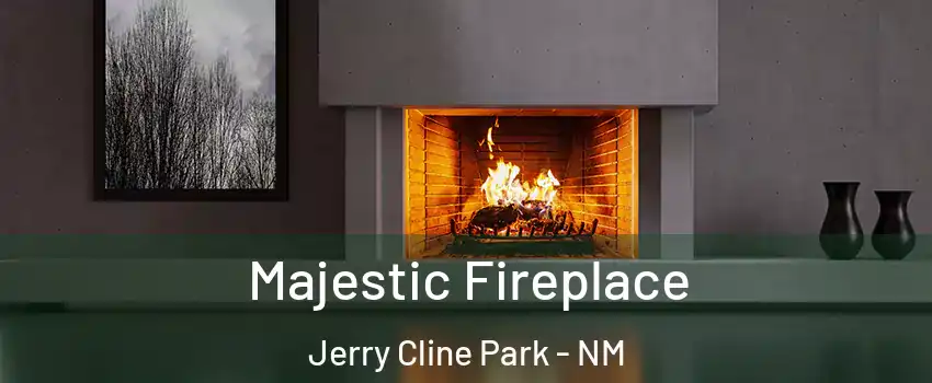 Majestic Fireplace Jerry Cline Park - NM