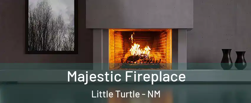 Majestic Fireplace Little Turtle - NM