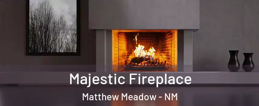Majestic Fireplace Matthew Meadow - NM