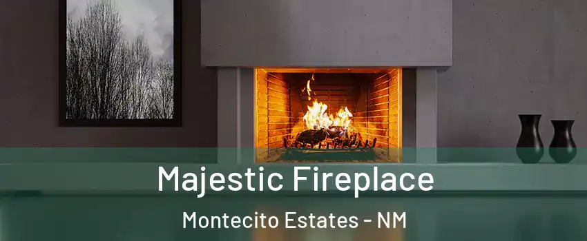 Majestic Fireplace Montecito Estates - NM