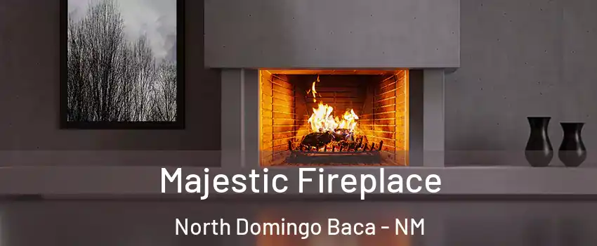 Majestic Fireplace North Domingo Baca - NM