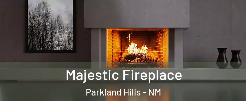 Majestic Fireplace Parkland Hills - NM