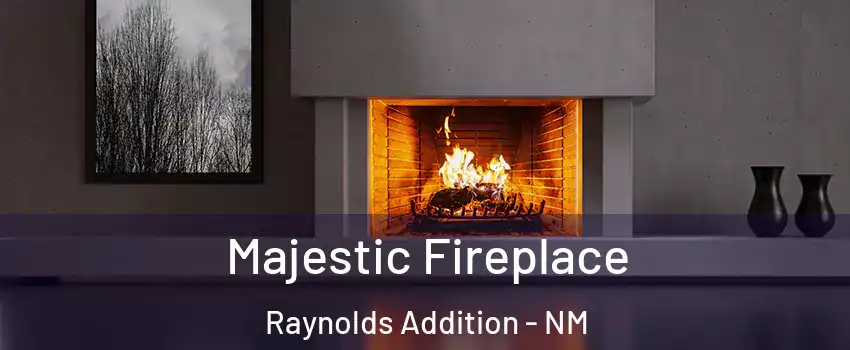 Majestic Fireplace Raynolds Addition - NM