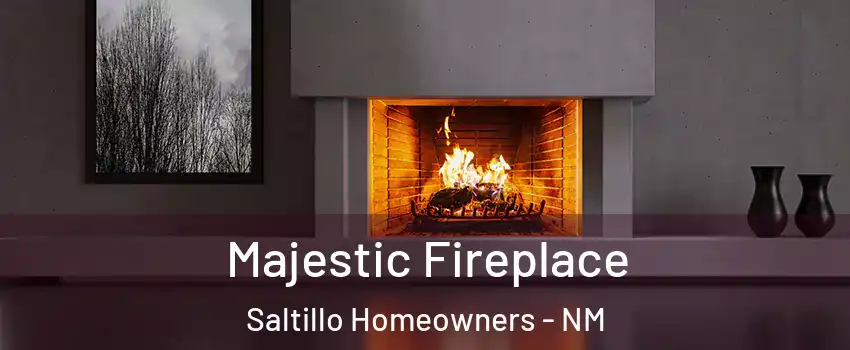 Majestic Fireplace Saltillo Homeowners - NM