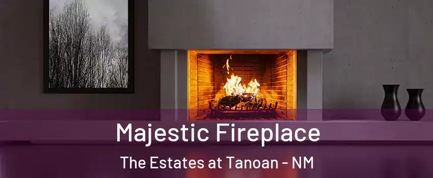 Majestic Fireplace The Estates at Tanoan - NM