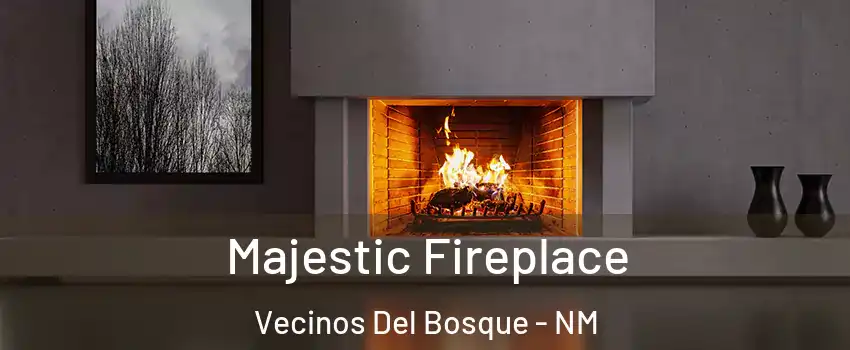 Majestic Fireplace Vecinos Del Bosque - NM