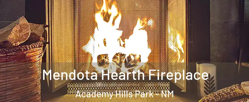 Mendota Hearth Fireplace Academy Hills Park - NM