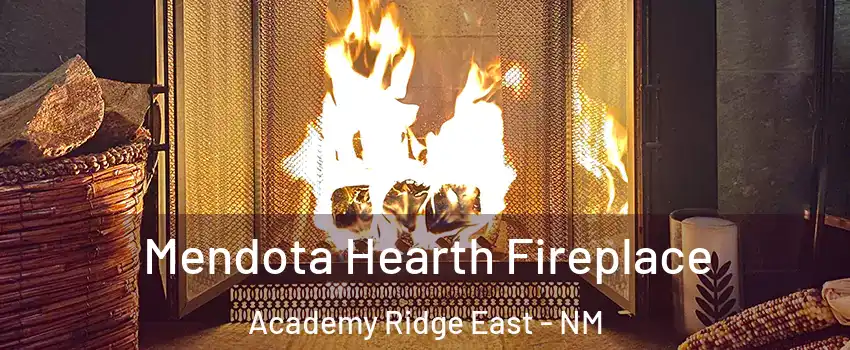 Mendota Hearth Fireplace Academy Ridge East - NM