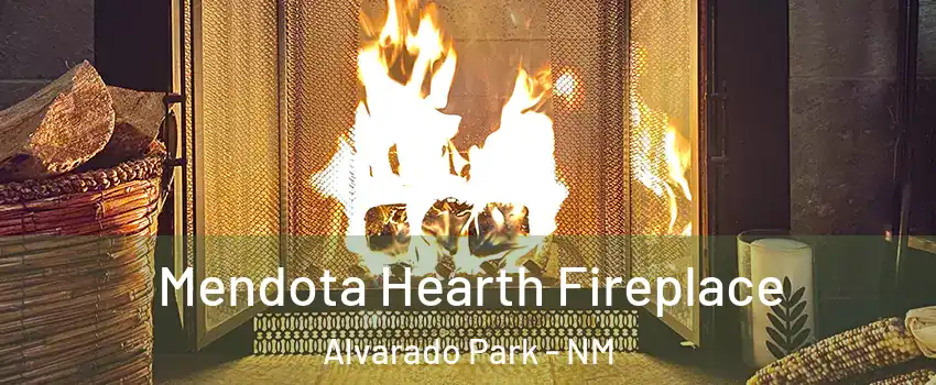 Mendota Hearth Fireplace Alvarado Park - NM
