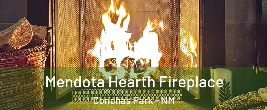 Mendota Hearth Fireplace Conchas Park - NM