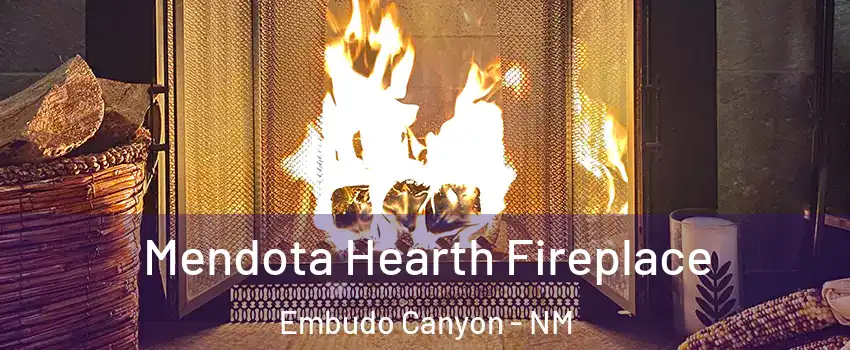 Mendota Hearth Fireplace Embudo Canyon - NM