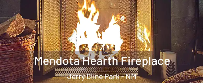 Mendota Hearth Fireplace Jerry Cline Park - NM