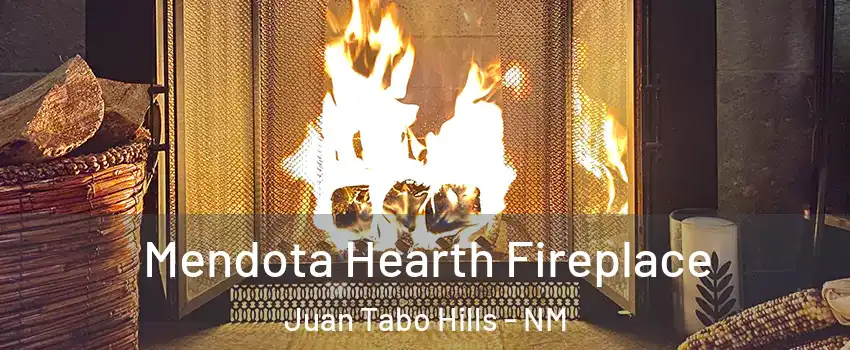 Mendota Hearth Fireplace Juan Tabo Hills - NM