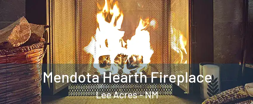 Mendota Hearth Fireplace Lee Acres - NM