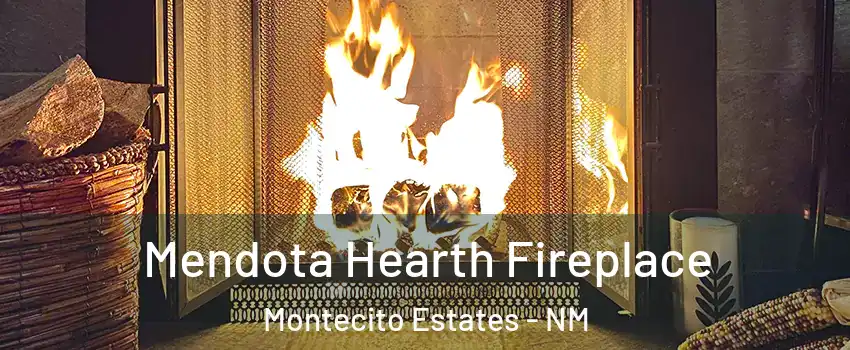 Mendota Hearth Fireplace Montecito Estates - NM