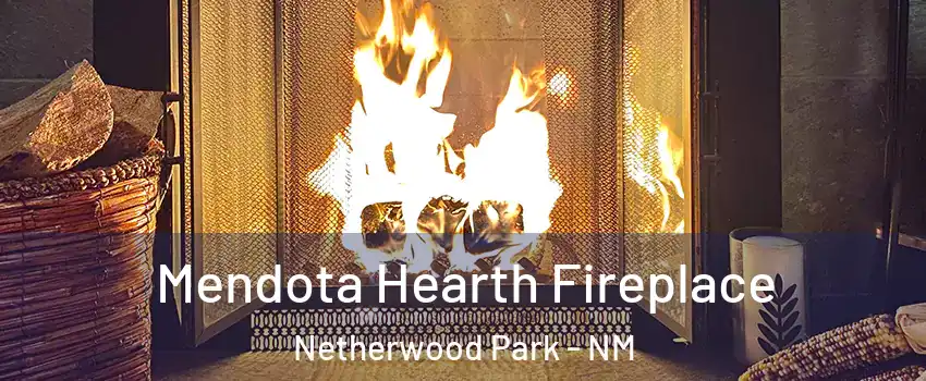 Mendota Hearth Fireplace Netherwood Park - NM