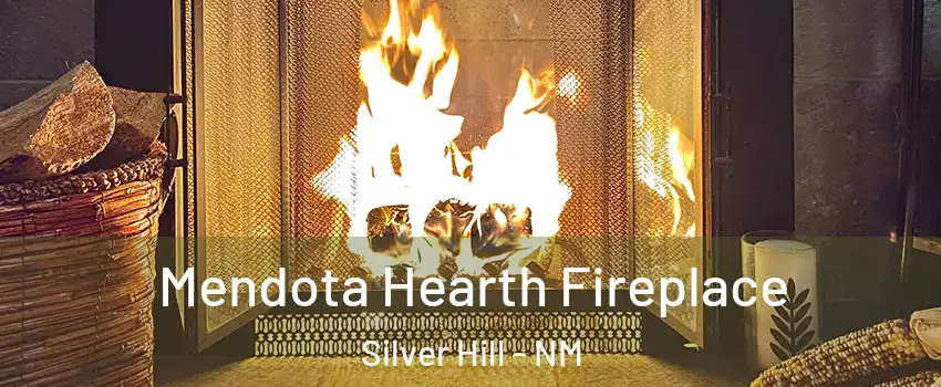 Mendota Hearth Fireplace Silver Hill - NM