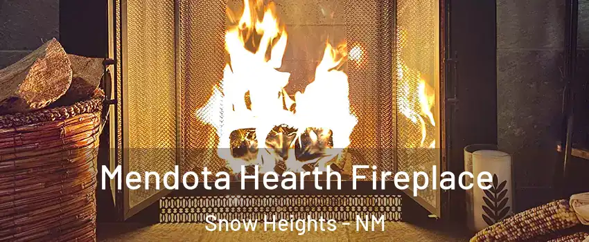 Mendota Hearth Fireplace Snow Heights - NM