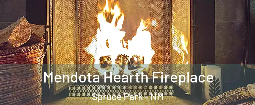 Mendota Hearth Fireplace Spruce Park - NM