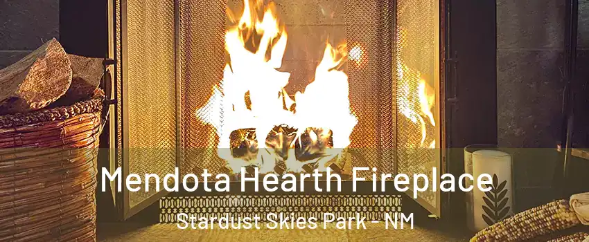 Mendota Hearth Fireplace Stardust Skies Park - NM