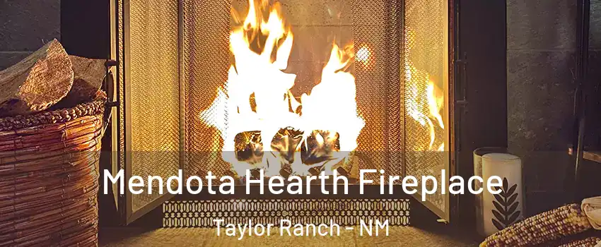 Mendota Hearth Fireplace Taylor Ranch - NM