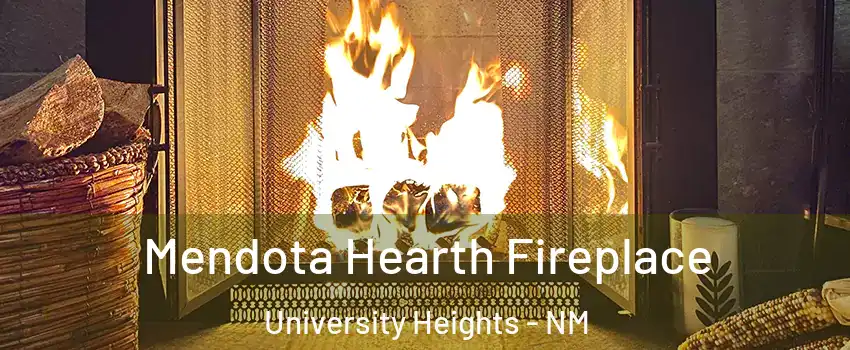 Mendota Hearth Fireplace University Heights - NM