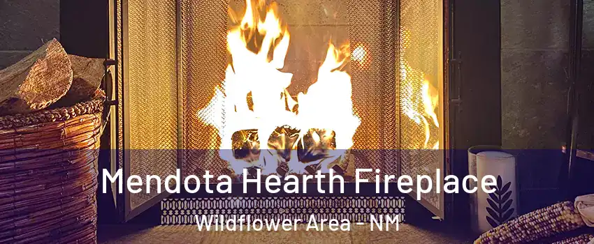 Mendota Hearth Fireplace Wildflower Area - NM