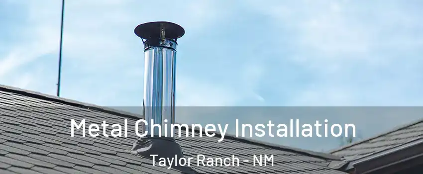 Metal Chimney Installation Taylor Ranch - NM