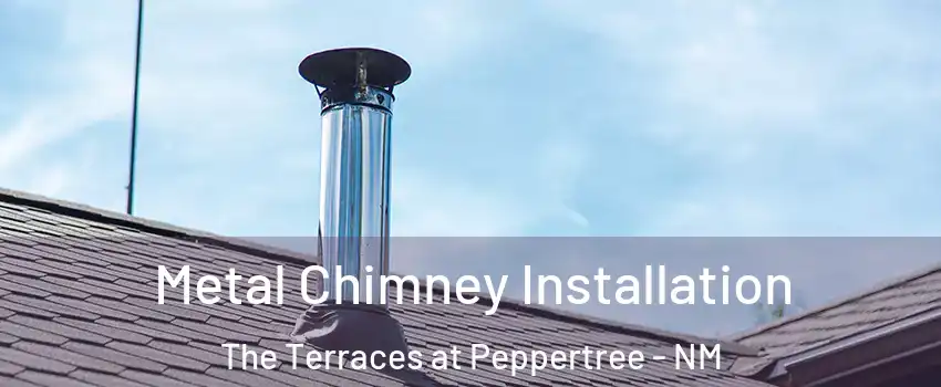 Metal Chimney Installation The Terraces at Peppertree - NM