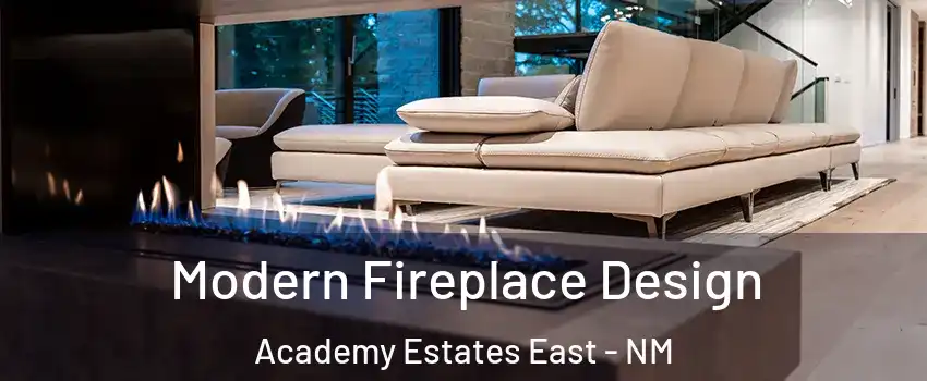 Modern Fireplace Design Academy Estates East - NM