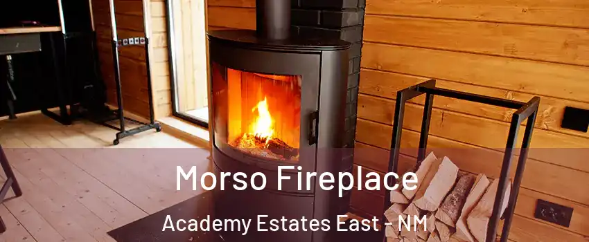 Morso Fireplace Academy Estates East - NM