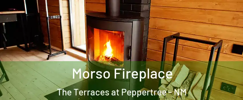 Morso Fireplace The Terraces at Peppertree - NM