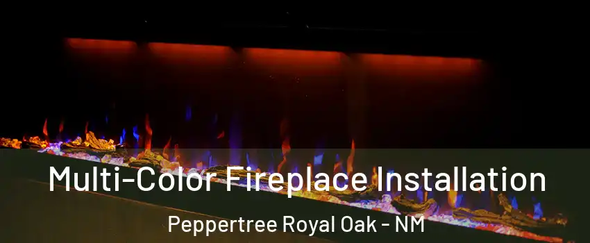 Multi-Color Fireplace Installation Peppertree Royal Oak - NM
