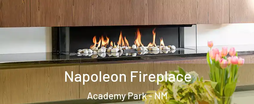 Napoleon Fireplace Academy Park - NM
