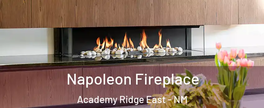 Napoleon Fireplace Academy Ridge East - NM
