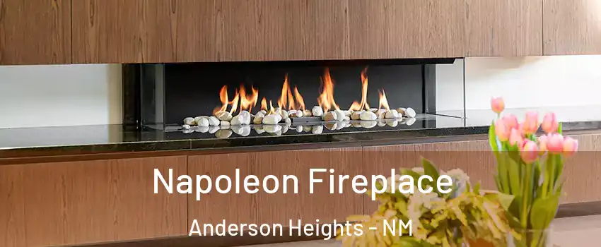 Napoleon Fireplace Anderson Heights - NM