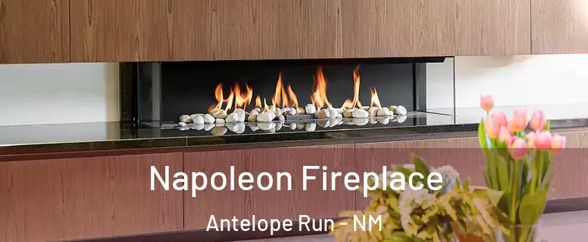 Napoleon Fireplace Antelope Run - NM