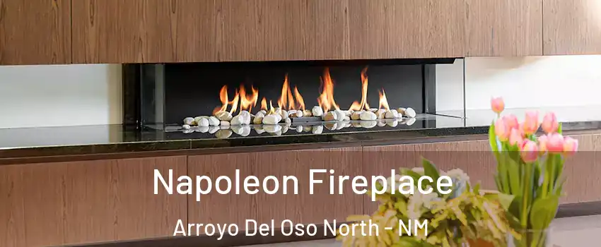Napoleon Fireplace Arroyo Del Oso North - NM