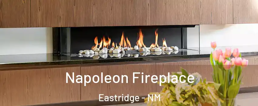 Napoleon Fireplace Eastridge - NM