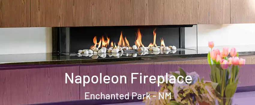 Napoleon Fireplace Enchanted Park - NM