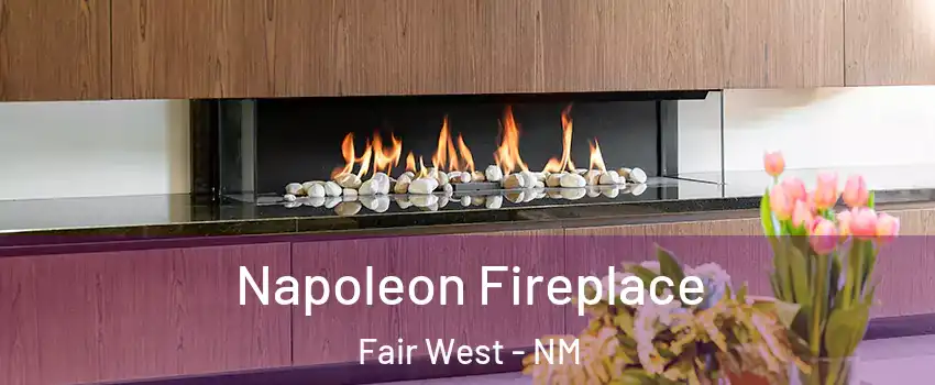 Napoleon Fireplace Fair West - NM