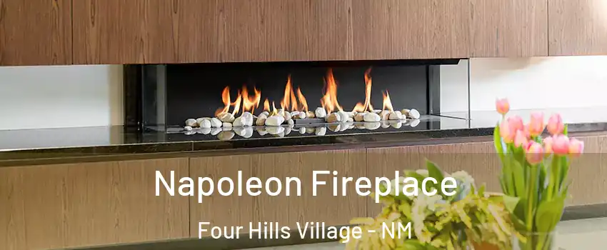 Napoleon Fireplace Four Hills Village - NM