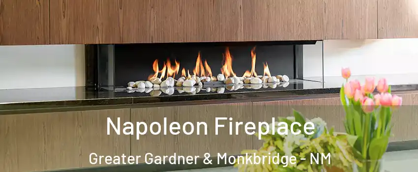 Napoleon Fireplace Greater Gardner & Monkbridge - NM