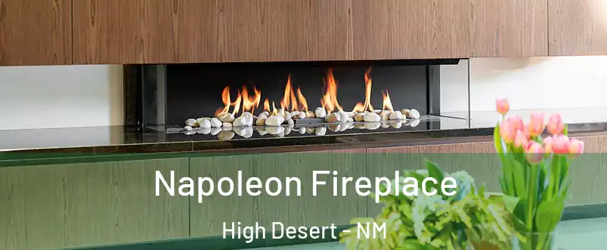 Napoleon Fireplace High Desert - NM